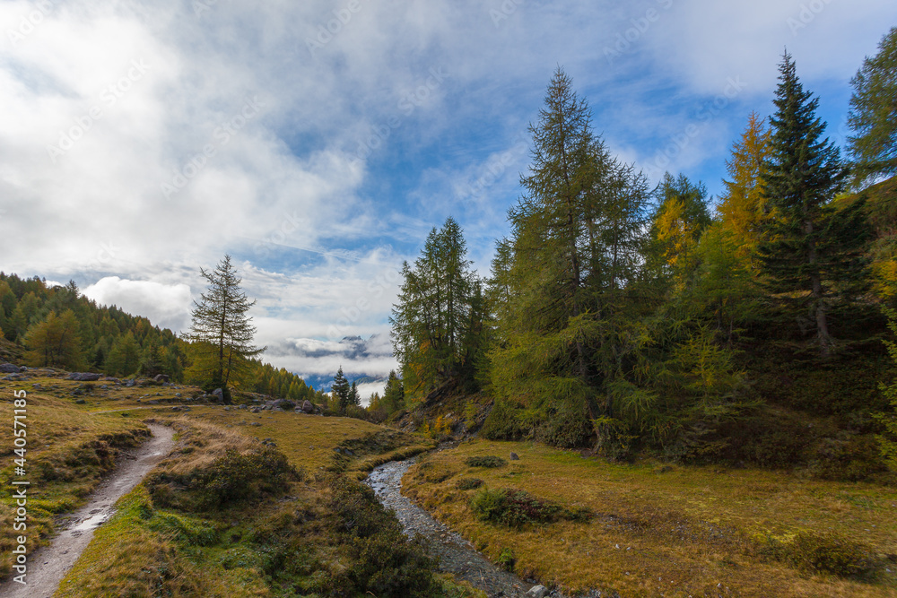 Small stream alongside larches with the first autumn colors and against the background Dolomite peaks in the clouds, South Tyrol, Italy. Landscape that inspires tranquility and meditation