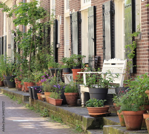 Amsterdam Jordaan Street View with Potted Plants and White Wooden Bench © Monica