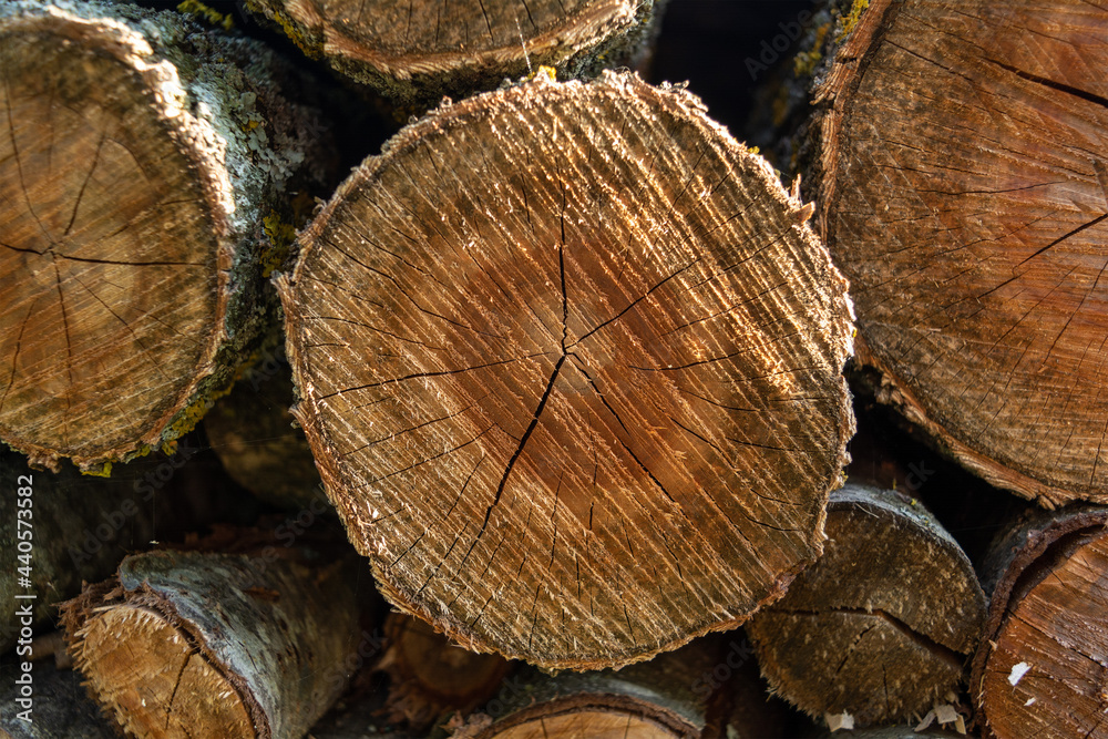 Annual rings on a sawn tree. Stacked logs Close-up. Background and texture.