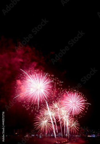Spectacular pink and red fireworks splashing in the night sky