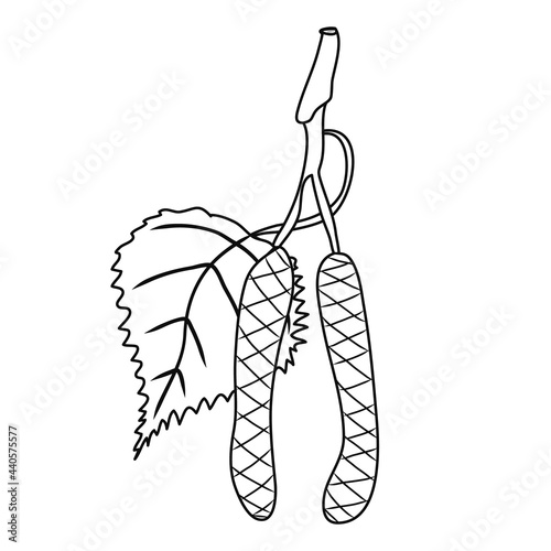 Bud icon. Birch tree. Natural theme. White background. Element. Symbol. Contour graphic sketch. Idea for decors, logo, covers, holidays, gifts, art. Isolated vector.
