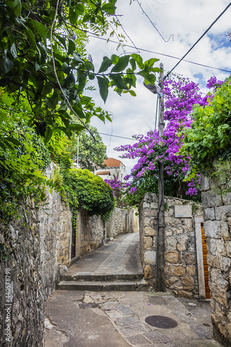 Fototapeta Naklejka Na Ścianę i Meble -  Picturesque old stone narrow street in Cavtat. Cavtat - coastal town in the southern Konavle region of Croatia, just 20 kilometers away from Dubrovnik.