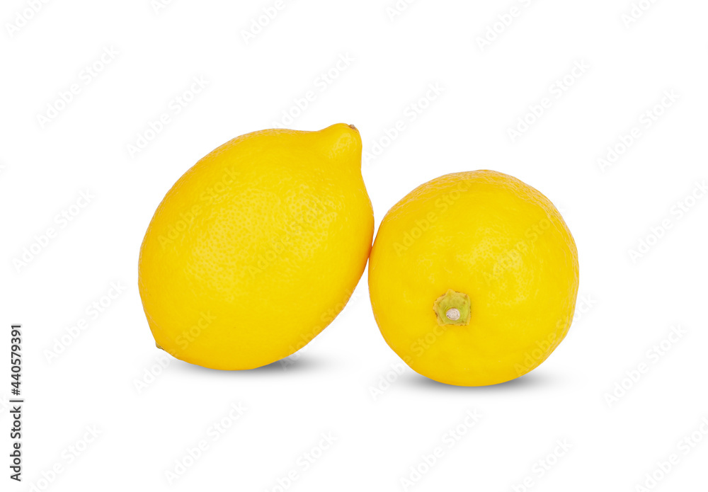lemon fruit isolated on white background lemon fruit isolated on white background
