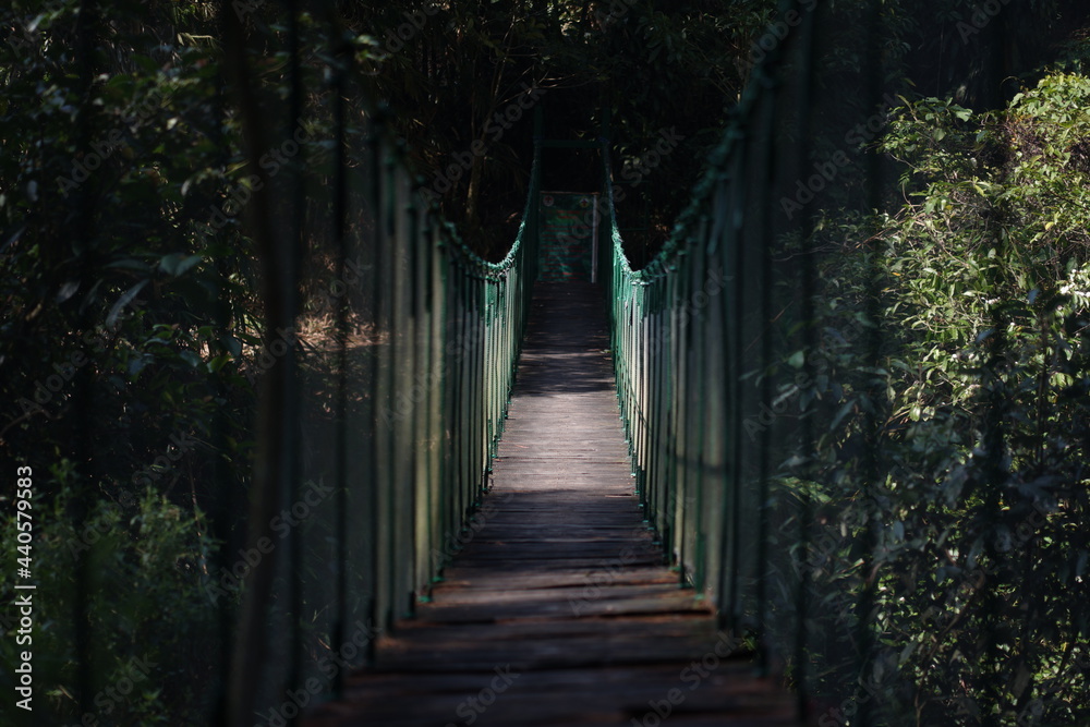 Obraz premium bridge in the forest