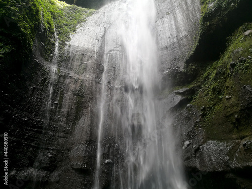 Madakaripura waterfall in the area of Bromo Tengger Semeru National Park. It   s the biggest waterfall in East Java Probolinggo Indonesia - Beautiful nature greenery scene park and outdoor travel 