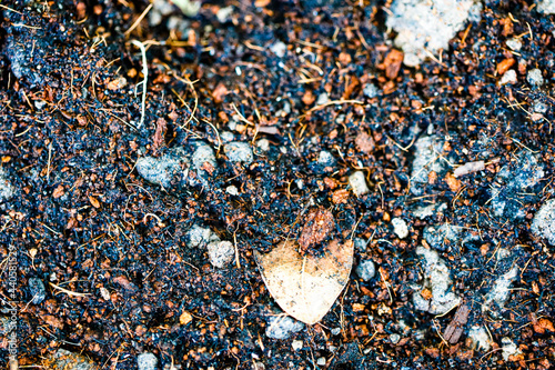 close up of a soil