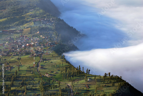 Pine tree forests and a little house in the morning with many fog and sunlight on the pine tree at cemero lawang village of Bromo tengger semeru national parks , Indonesia - landscape green nature photo