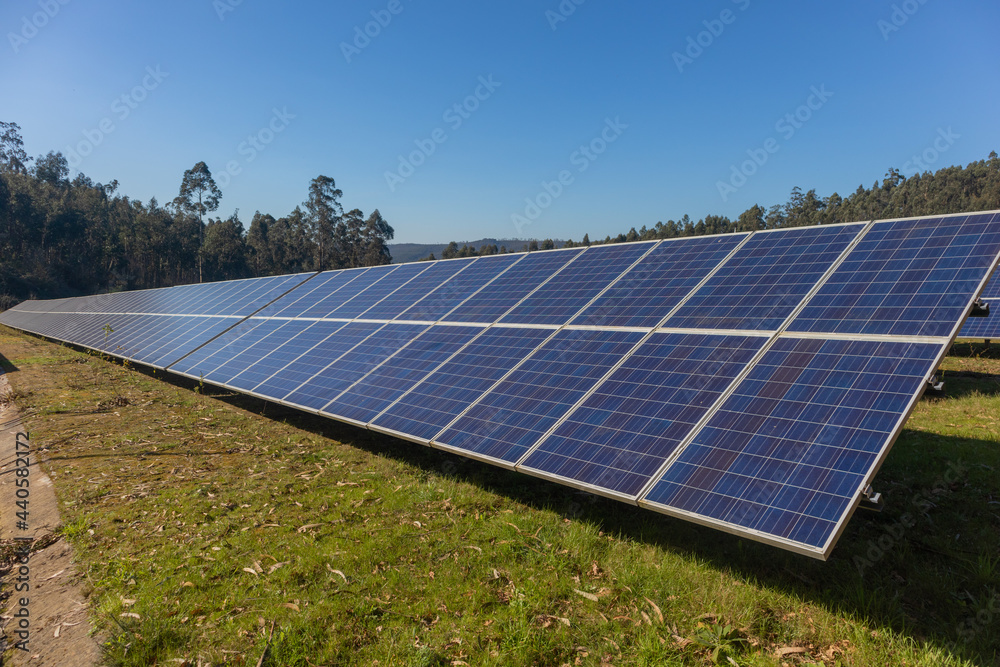 Field with photovoltaic panels on a summer day