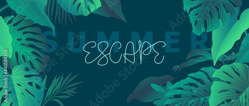 Exotic, tropic background with monstera leaves.