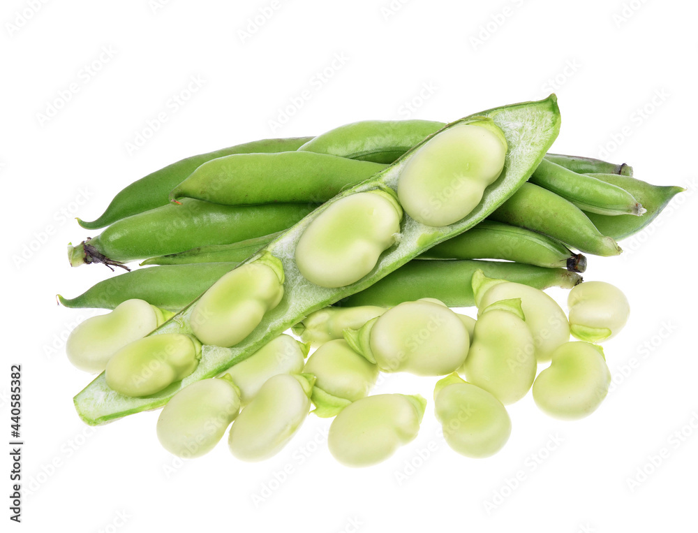 vicia faba, broad beans, beans and pods on an isolated white background vicia faba, broad beans, beans and pods on an isolated white background