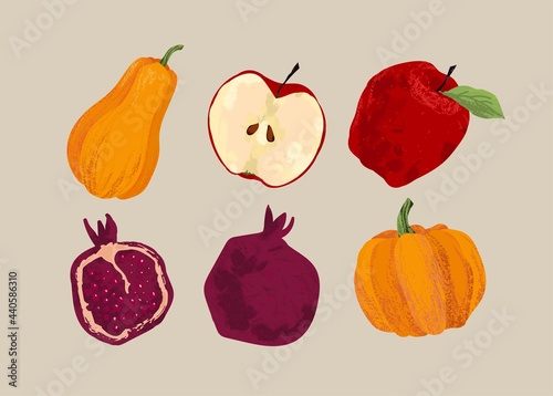 Autumn vector set. Harvest  pomegranate  apple  pumpkin  bright leaves  rowan  acorns. Freehand illustration.