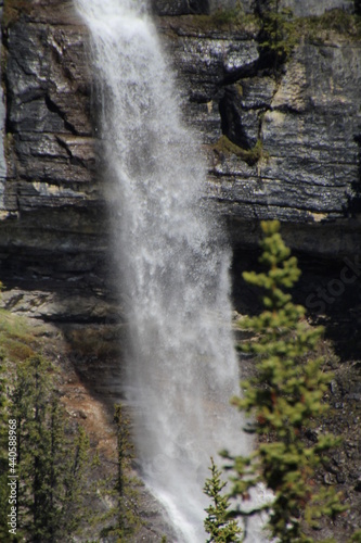 The Falls  Banff National Park  Alberta