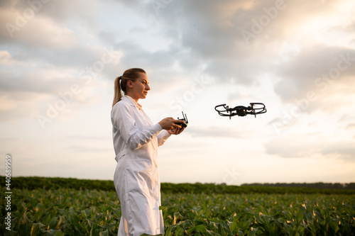 female agricultural specialist holding Drone Remote and controlling drone in air standing in corn field on sun set  soft focus