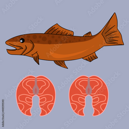 Illustration vector graphic of fish salmon and meat salmon suitable for vitamin omega3 products and other
