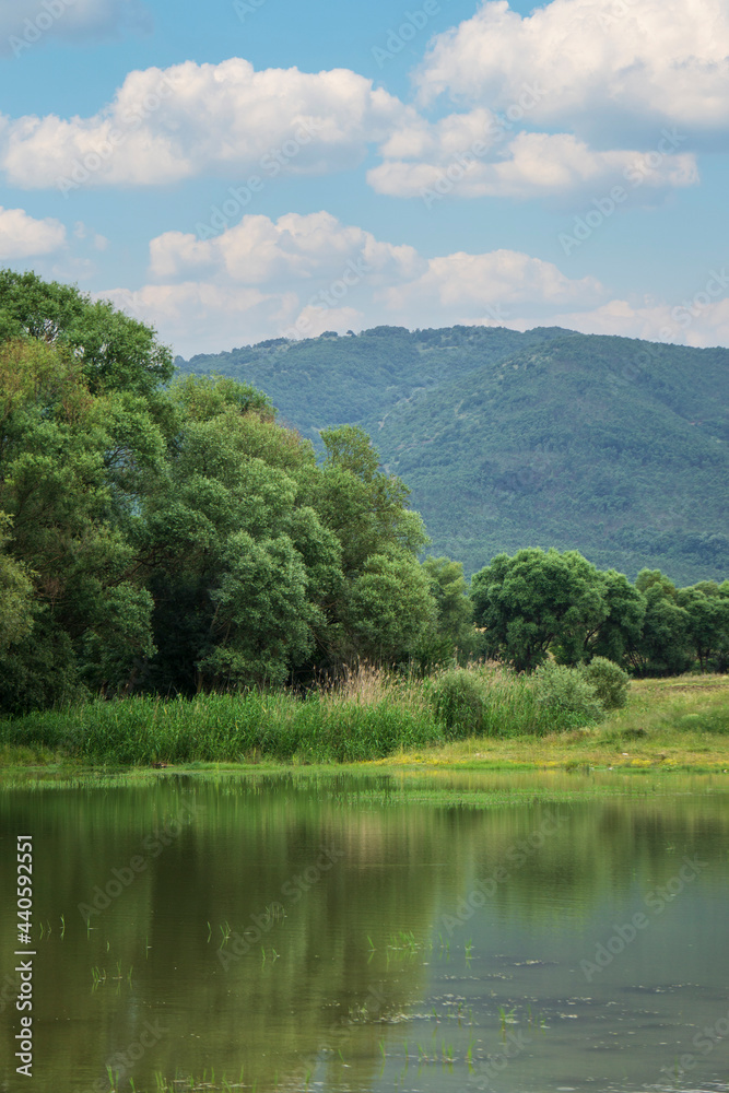 Spring natural landscape with a lake surrounded by green foliage of trees