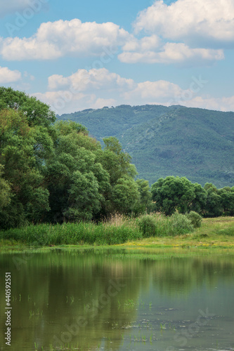 Spring natural landscape with a lake surrounded by green foliage of trees