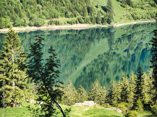 Alpen, Tirol, Natur