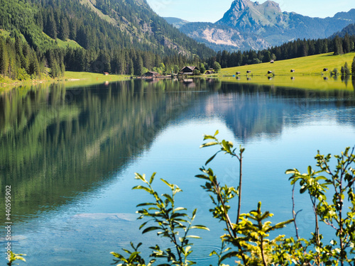Alpen, Tirol, Natur