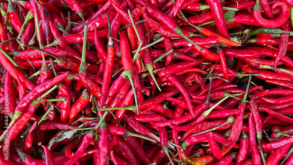 Fototapeta premium View of Red Chili Peppers texture background.