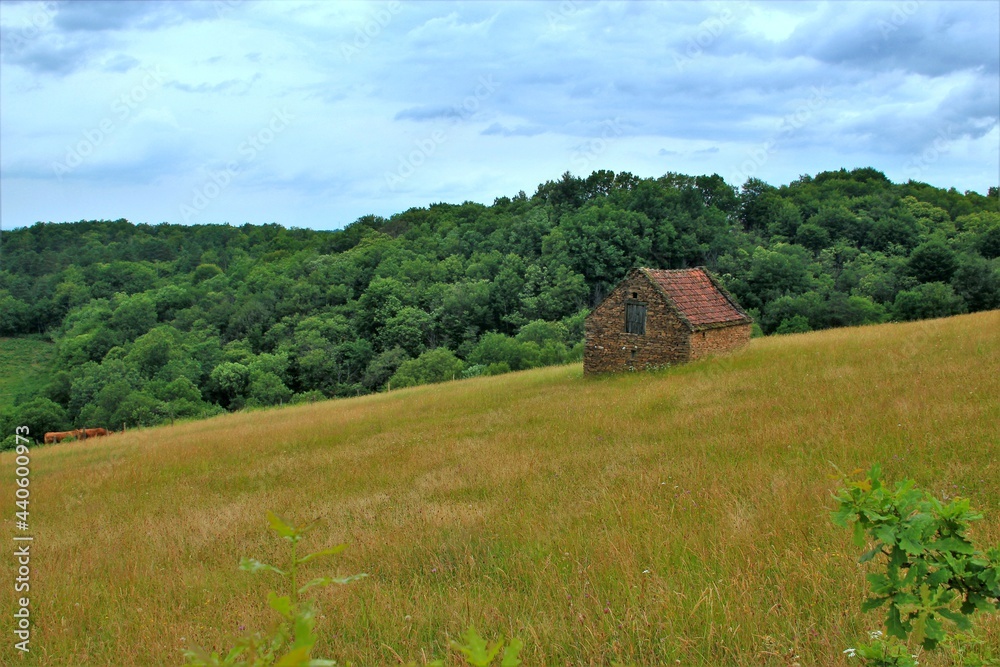 Paysage de campagne. Paysage de campagne.
