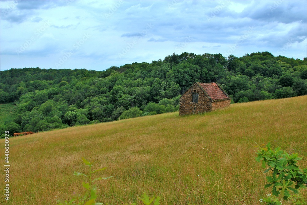 Paysage de campagne.