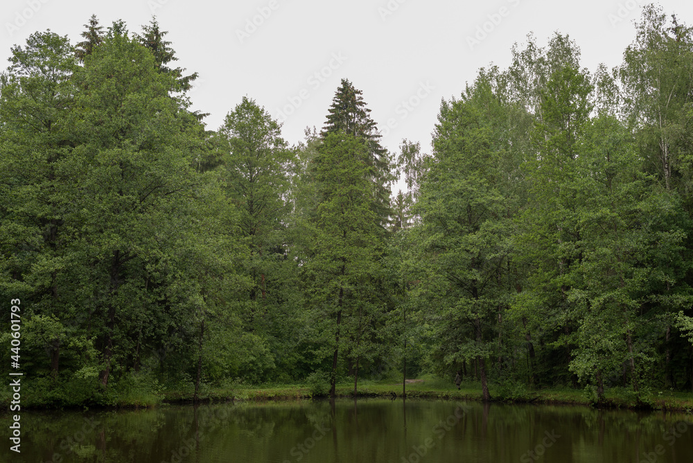 Obraz premium View of a quiet, beautiful forest lake on a summer day. On the shore there are coniferous and deciduous trees that are reflected in the water