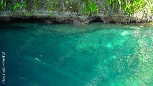 Beautiful view of the Enchanted River of Surigao del Sur. Philippines. Mindanao, Philippines. photo