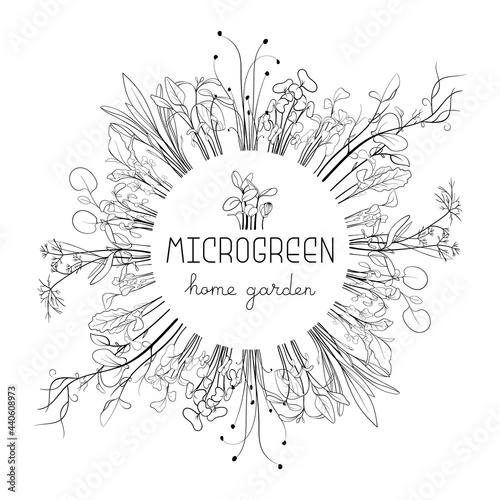 Microgreen sketch vector illustration. Grass circle frame for text. Green for home gardening. Mustard, corn, peas, onion, sunflower sprouts for salad