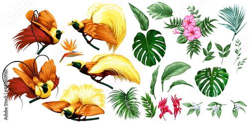 Big set of tropical 1