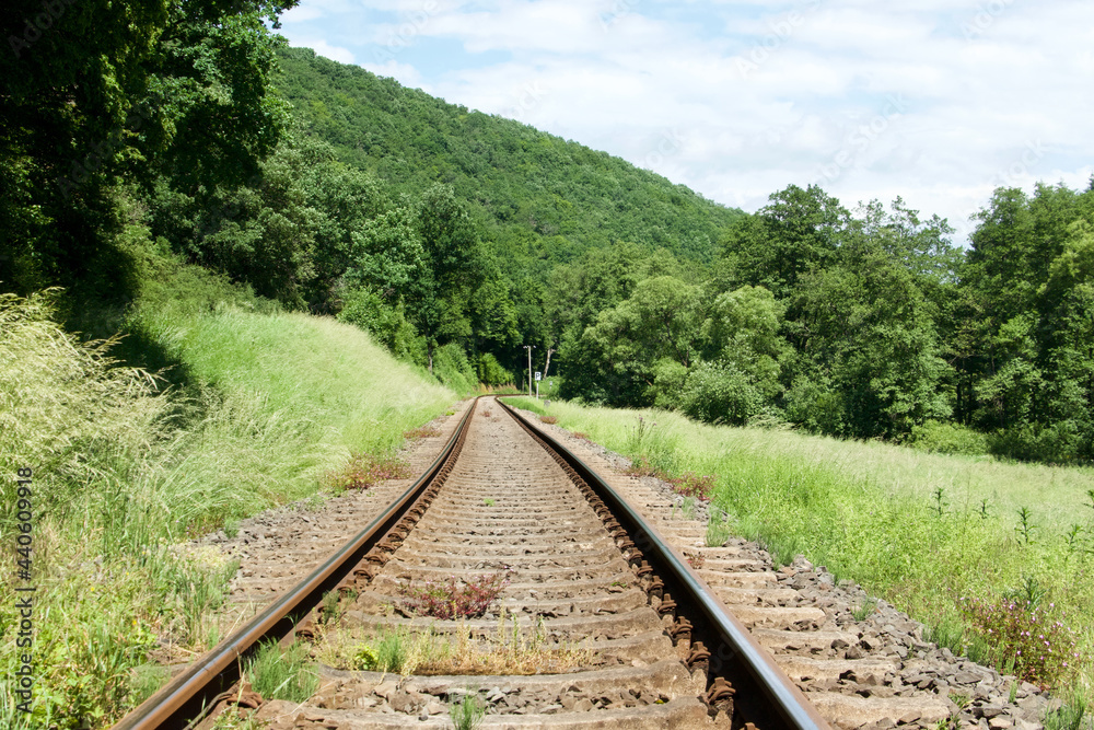 rails in green landscape