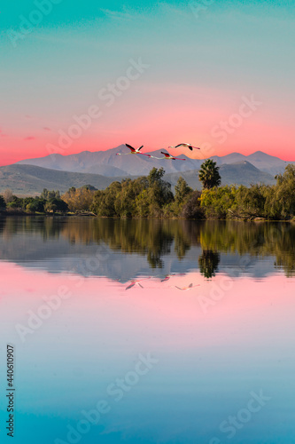 Portrait shot of Robertson Breede River and flying birds in Western Cape South Africa