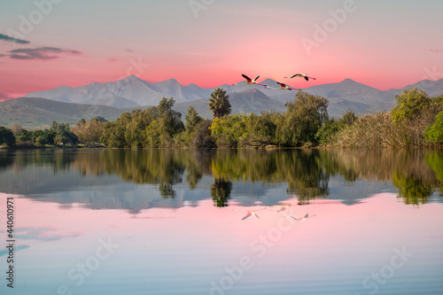 Robertson Breede River and flying birds in Western Cape South Africa photo