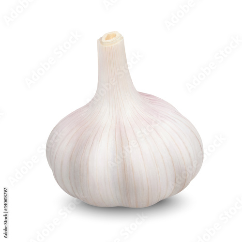 Realistic garlic. Head of dried garlic isolated on white background. Vector 3D illustration. photo