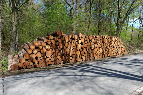 Holzstapel am Waldrand