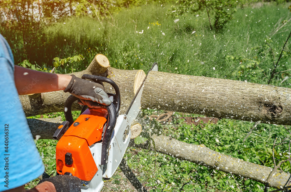 male worker cuts wood with an electric chainsaw