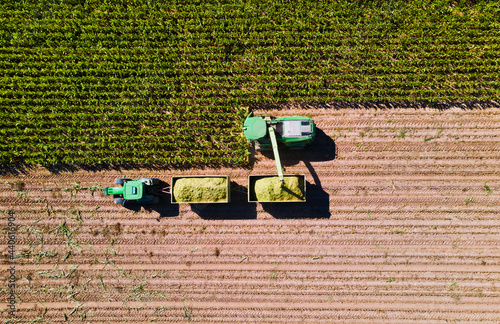 Corn harvest in the fields with transporter and harvester from above, aerial shot photo