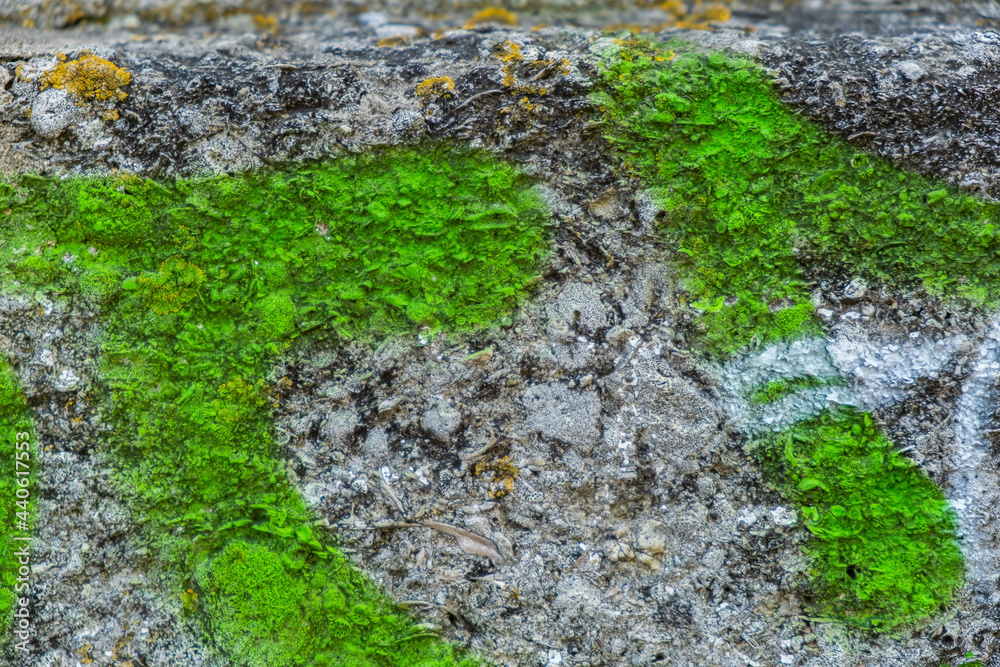 abstract colored texture. Old scratches, stain, paint splats, spots on the wall abstract colored texture. Old scratches, stain, paint splats, spots on the wall