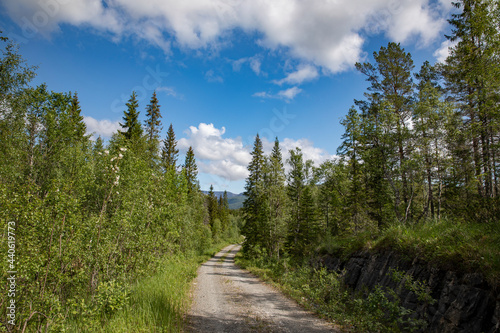 Forest trail in Strauman, Velfjord, ,Helgeland,Nordland county,scandinavia,Europ © Gunnar E Nilsen