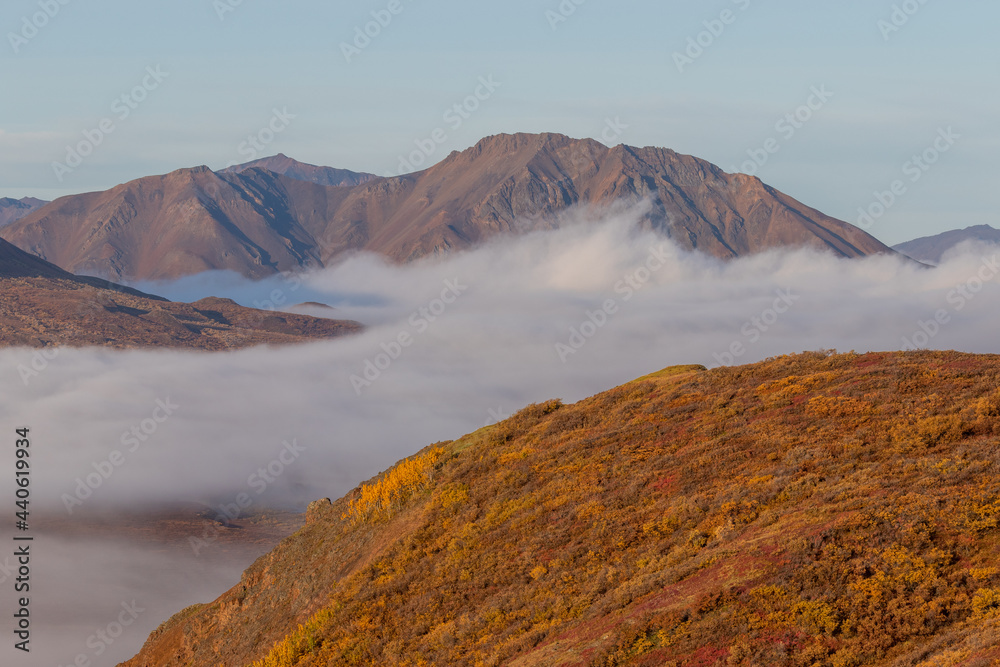 Scenic Landscape in Denali National Park Alaska in Autumn