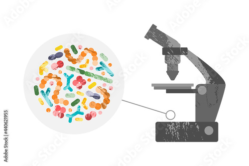 Probiotics under the microscope. Good lactic acid bacteria for gut, intestinal flora health. Microflora. Microbiome. Bifidobacterium, lactobacillus, lactococcus, thermophilus streptococcus. Vector set