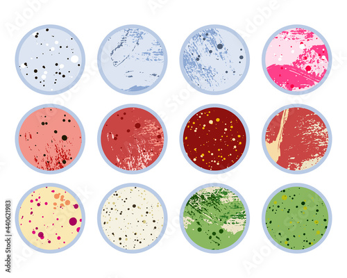 Petri dish, plate with agar, bacterial colony. Bacteriology. Microbiology. Laboratory test, bacteriological swab, chemical analysis. Vector flat cartoon illustration
