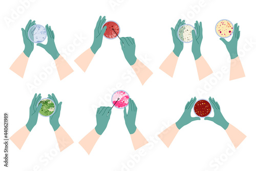 Scientist's hand in glove holding Petri dish, plate with agar, bacterial colony. Bacteriology. Microbiology. Laboratory test, bacteriological swab, chemical analysis. Vector flat cartoon illustration photo