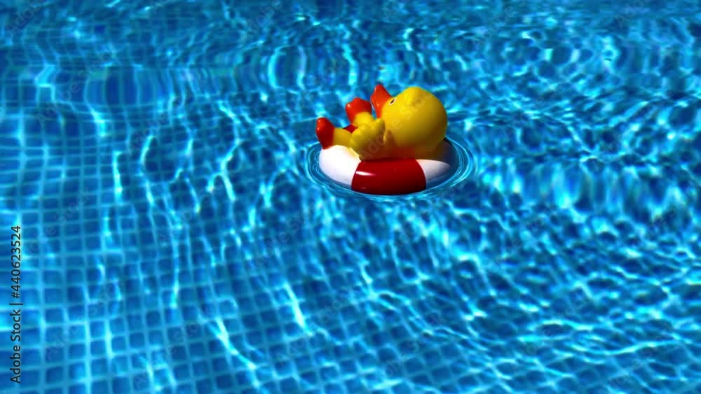 Ente 1
