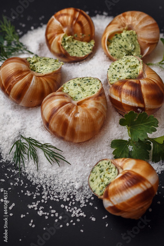 Snails in green butter sauce served on salt