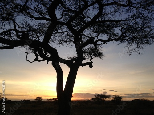 sunset in Serengeti National Park Tanzania