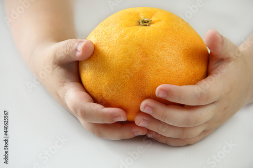 a child holds a healthy fruit grapefruit in his hands