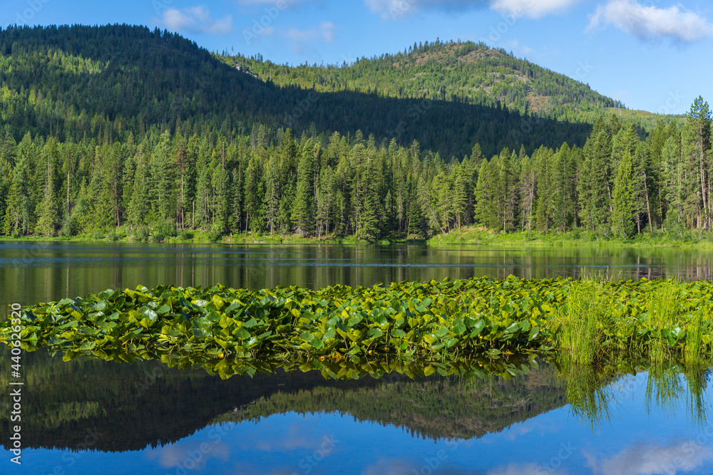 Round Lake Round Lake