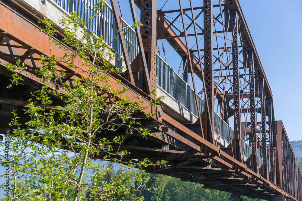 Fototapeta premium Clark Fork Railroad Bridge
