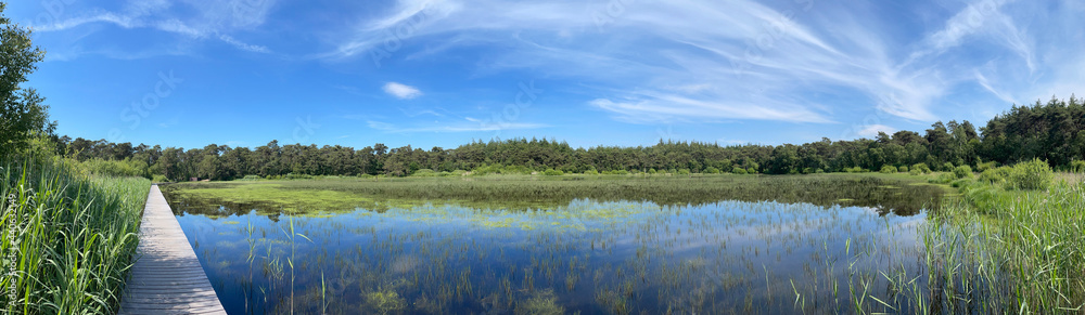 Panorama from a lake in the forest around Beesterzwaag