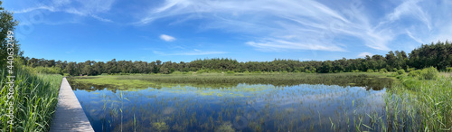 Panorama from a lake in the forest around Beesterzwaag